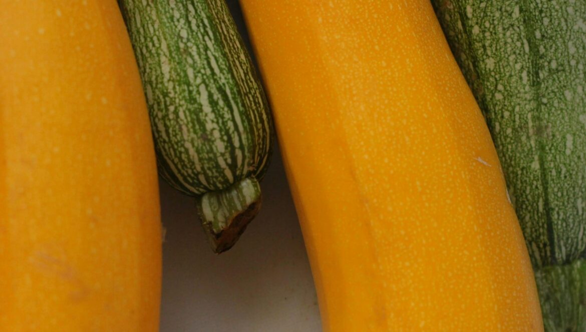 ¿Cena fácil con calabacín? Así la preparo desde Cádiz y arrasa en verano closeup photography of yellow and green vegetables